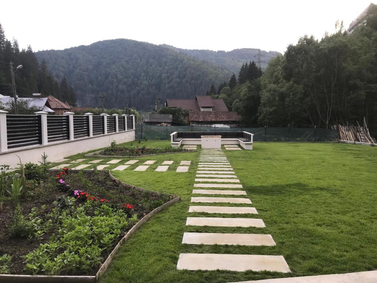 Pensiunea Edelweiss فوينياسا المظهر الخارجي الصورة